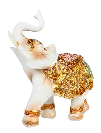 Elephant Show